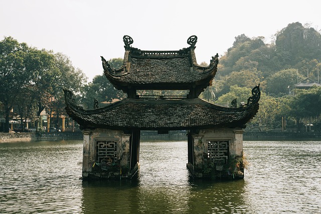 베트남 호텔 완전정복! 🇻🇳 호치민, 하노이, 하롱베이 꿀팁 대방출!